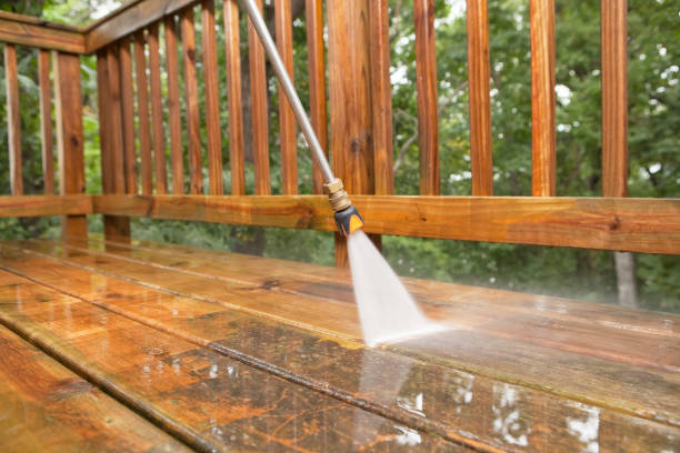 Animal Enclosure Cleaning in Pineville, LA